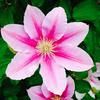jlynnmiles46